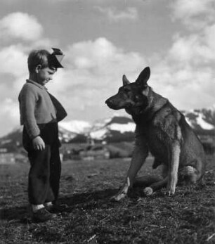 Kinderbilder. Kleiner Junge mit Schäferhund