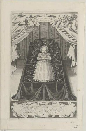 Bildnis des Adolphus Hassiae