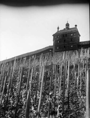 Esslingen: Weinberg mit Wehrmauer