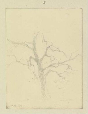 Kahler Baum