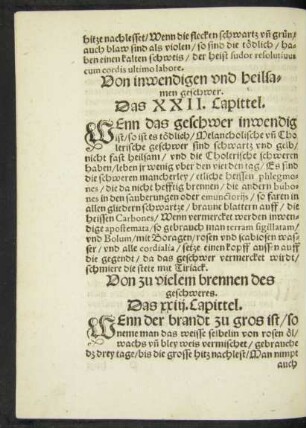 Von inwendigen und heilsamen geschwer. Das XXII. Capittel.