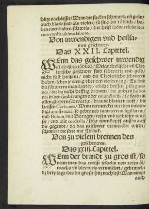 Von inwendigen und heilsamen geschwer. Das XXII. Capittel.