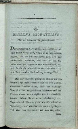 29. Gryllus Migratorius. Die verheerende Zugheuschrecke.