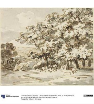 Landschaft mit Baumgruppe