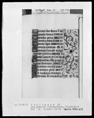 Lateinisch-französisches Stundenbuch — Bordüre mit Schnecke, Folio 116 recto