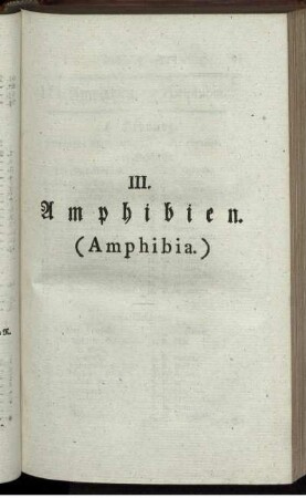 III. Amphibien. (Amphibia.)