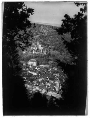 Blick aus Richtung Wartturm auf Wertheim