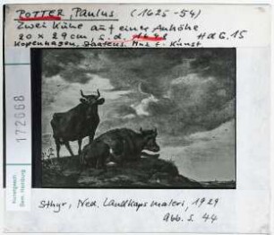 Paulus Potter: Zwei Kühe auf einer Anhöhe. Kopenhagen, Staatens Museum