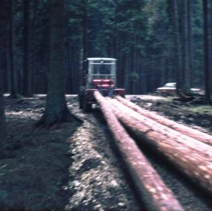 Fotografie: Forsttechnik, Transport, Seilwinde, Systemtraktor