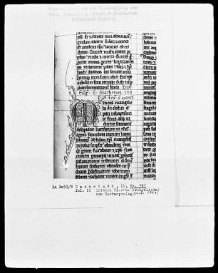 Neues Testament — Initiale M(arcus evangelista), Folio 25recto