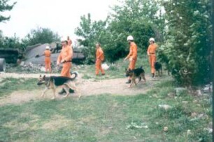 Wesel. Zentrum für Ausbildung von Rettungshunden. Blick auf einen Teil des Übungsplatzes. Übung an Geräten
