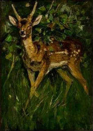 Junger Damhirsch
