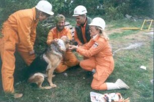 Wesel. Zentrum für Ausbildung von Rettungshunden. Rettungsführer lernen Sofortmaßnahmen bei verletztem Hund