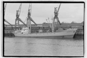Warendorp (1953), Lübeck Linie AG, Lübeck