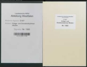 Reparatur des Steinpflasters zu Hausberge, insbesondere des Hausberger Stieges - Band 2