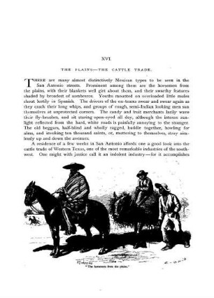 The Plains - The Cattle Trade