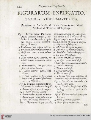 Figurarum explicatio: Tabula vigesima-tertia