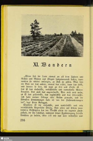 XI. Wandern