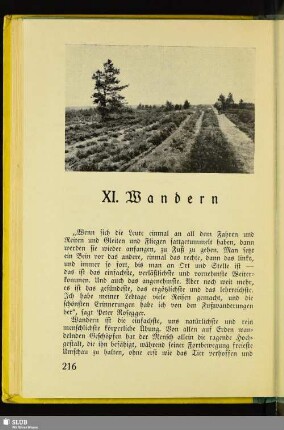 XI. Wandern