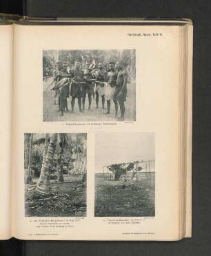 Hambruch, Nauru, Tafel 11.