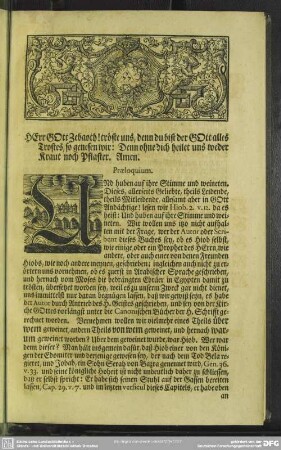 Leichenpredigt : Christ-Adeliche Gedächtniß-Predigt, Praeloquium, Text, Exordium, Tractatio