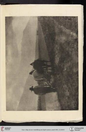 [Alfred Stieglitz, VIII. Ploughing (1904), photogravure from original negative]
