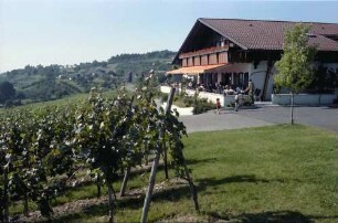 Kressbronn: Weingut Torggel , Haus im Weinberg