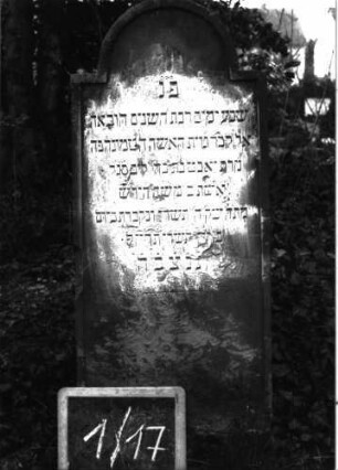 Grabstein 17 (Index: 99804869) Material: Sandstein Zustand: abgeblättert und verwittert Maße HxBxT: 106x40x16 cm Beschreibung: Stele, eingezogener Rundbogen: Grabstein 1/17