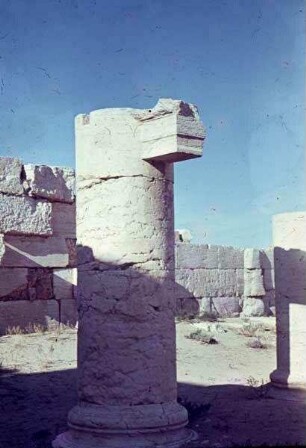 Palmyra Agora