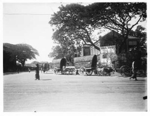 Colombo (Sri Lanka). Straße mit von Ochsen gezogenen Planwagen