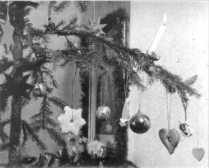Weihnachten. Zweig eines Weihnachtsbaumes mit Kerze, verschiedenen Sternen, Gebäck, Kugeln, Gänselieschen und Reiterlein