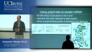 Lecture 09. RNA.: Part 2