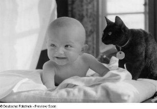 Porträt Kleinkind mit Katze