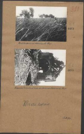 Drahthindernis mit Astverhau bei Stryi
