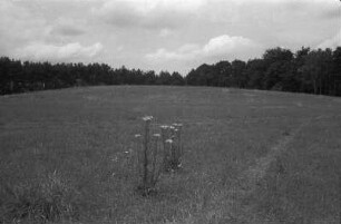 In Mühlenbeck-Feldheim