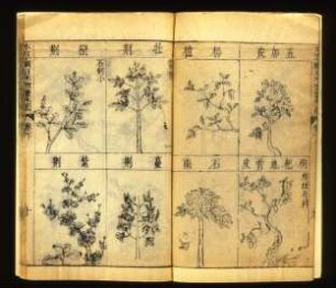 Li Bencao gangmu 本立堂 本草綱目, Heft 3