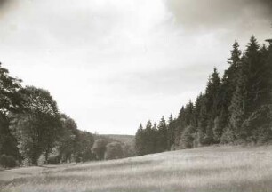 Harz. Unteres Bodetal oberhalb von Treseburg