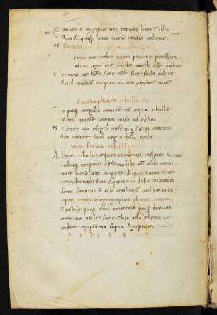 Vita brevis Tibulli