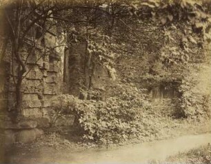 Schlossmauer mit Gebüsch und Weg
