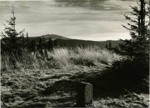 Im Hochschwarzwald