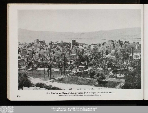124. Tinghir am Oued Todra,