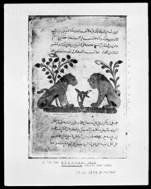 Kalila und Dimna — Szene aus den Fabeln von Bidpai