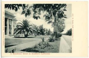 Southern. A Residence Street in Southern California