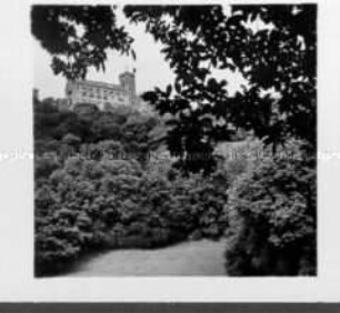 Die Wartburg
