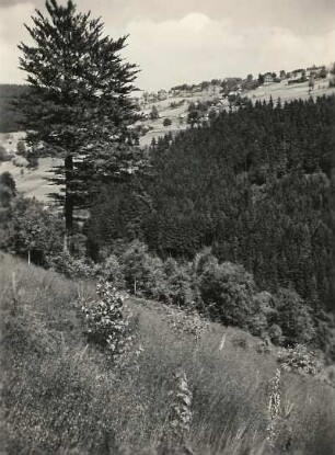 Vogtland. Aschberg (936 m) bei Klingenthal. Blick vom Hang des Scheibenberges bei Steindöbra