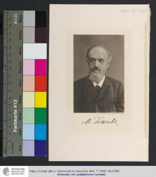 M. Traube