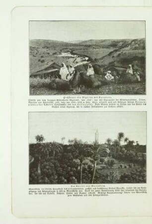 Hochsteppe von Algerien mit Karawane