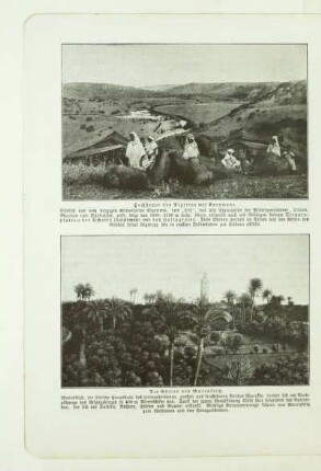 Hochsteppe von Algerien mit Karawane