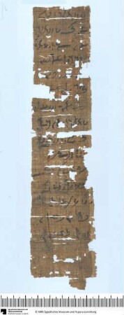 Demotischer Papyrus, Hochformatbrief bzgl. Orakel zu einer Reise