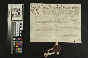 Heidesheim: Kaufbrief Heidesheim für Heinrich v. Stockheim